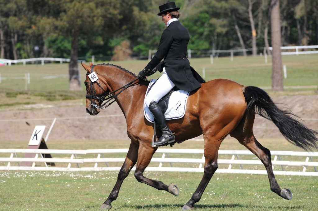 Maxime Livio 1er à l’issue du dressage